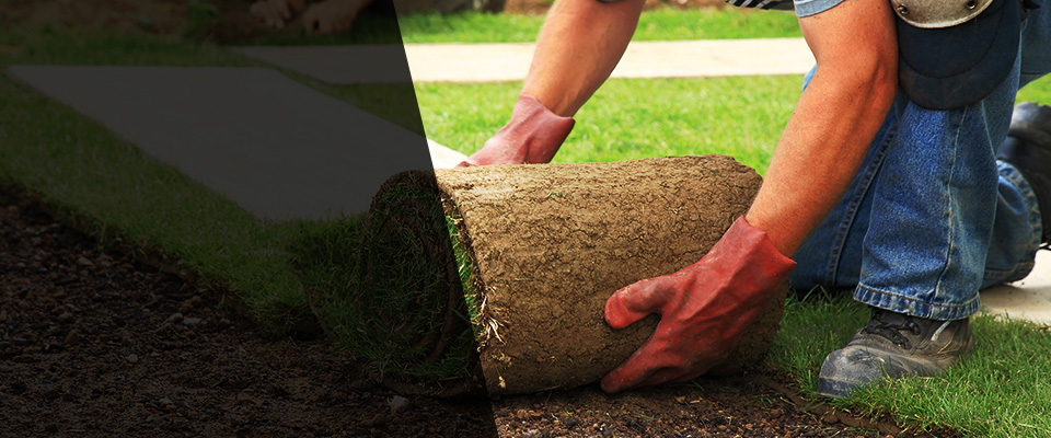 Coquille Landscapers